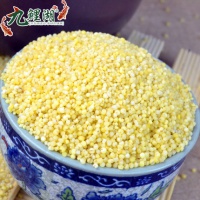量贩包邮 山西小米1500g黄小米小米粥五谷粗粮杂粮小黄米粟米粮油