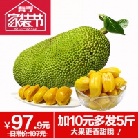 【悠昂生态果园】菠萝蜜新鲜 波罗蜜20斤包邮 海南热带水果 