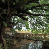 福建高北土楼群+云水谣古镇一日游