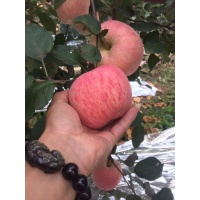 沂源红水晶富士