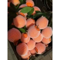 生肖橙