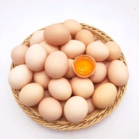 农家鸡蛋15KG.30斤